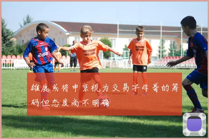 雄鹿或将申京视为交易字母哥的筹码但态度尚不明确