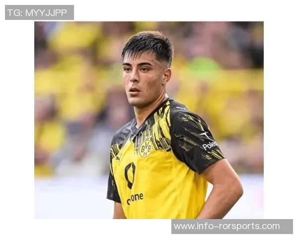 切尔西计划下赛季召回安塞尔米诺多特无缘签约他